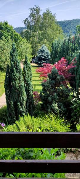 Green Oasis